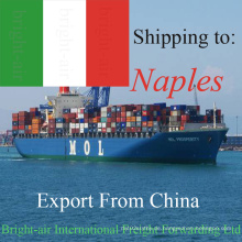 Seefracht Logistics Inc Weltweiter Versand FCL LCL Seefracht von China nach Neapel, Italien